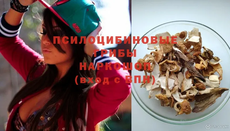 ОМГ ОМГ зеркало  Гусиноозёрск  Псилоцибиновые грибы Psilocybe 